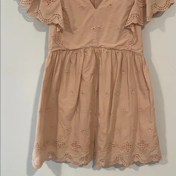 Loft Embroidered Eyelet Mini Dress in dusty pink - Picture 6 of 10